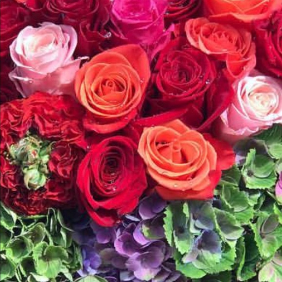 Meet your Posher, Dalida - Picture 1 of 1